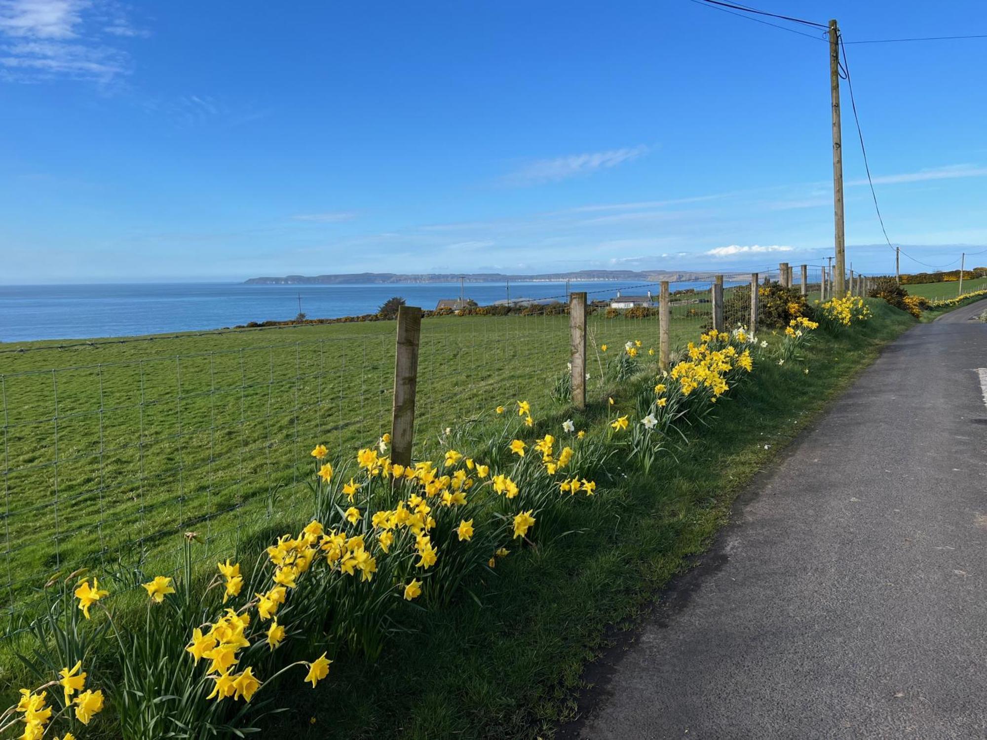 Tornaroan Cottage Ballycastle Luaran gambar