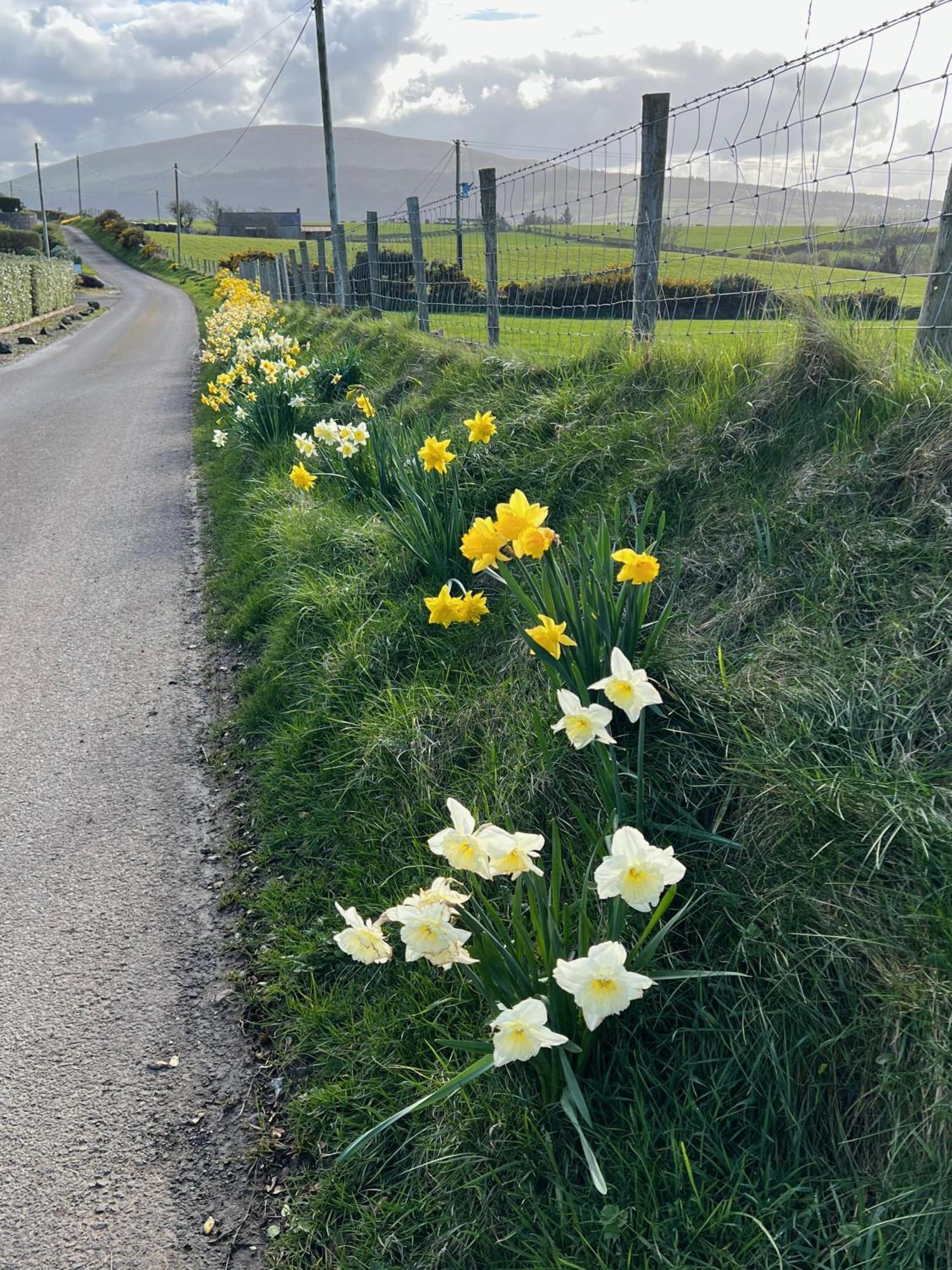 Tornaroan Cottage Ballycastle Luaran gambar