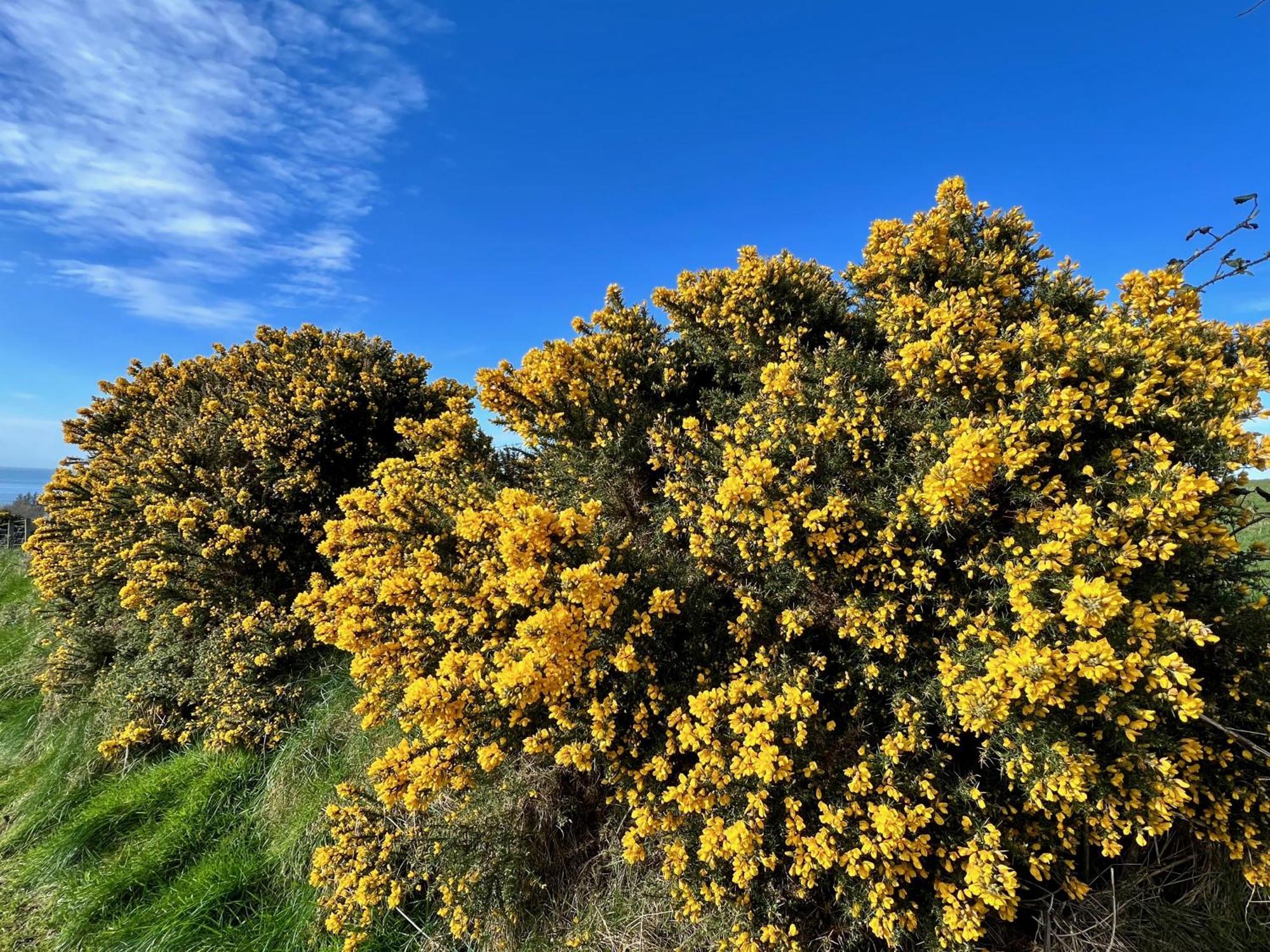 Tornaroan Cottage Ballycastle Luaran gambar